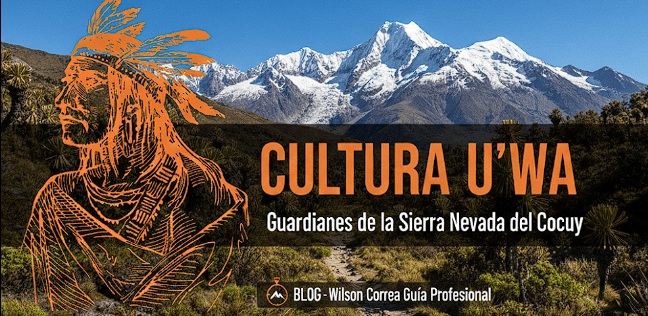 Explora nuestras publicaciones del blog