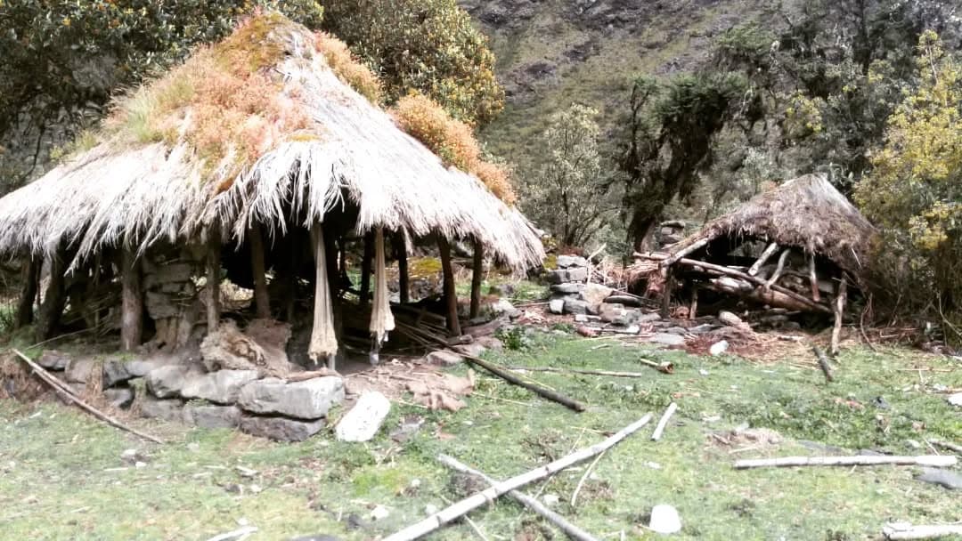 Antiguo grabado rupestre en una roca con paisaje montañoso.