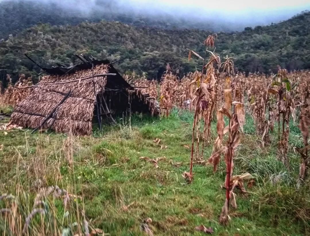 Imagen 5 del territorio U'wa