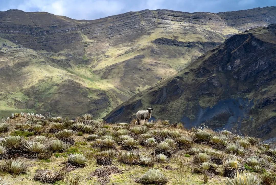 Imagen 6 del territorio U'wa