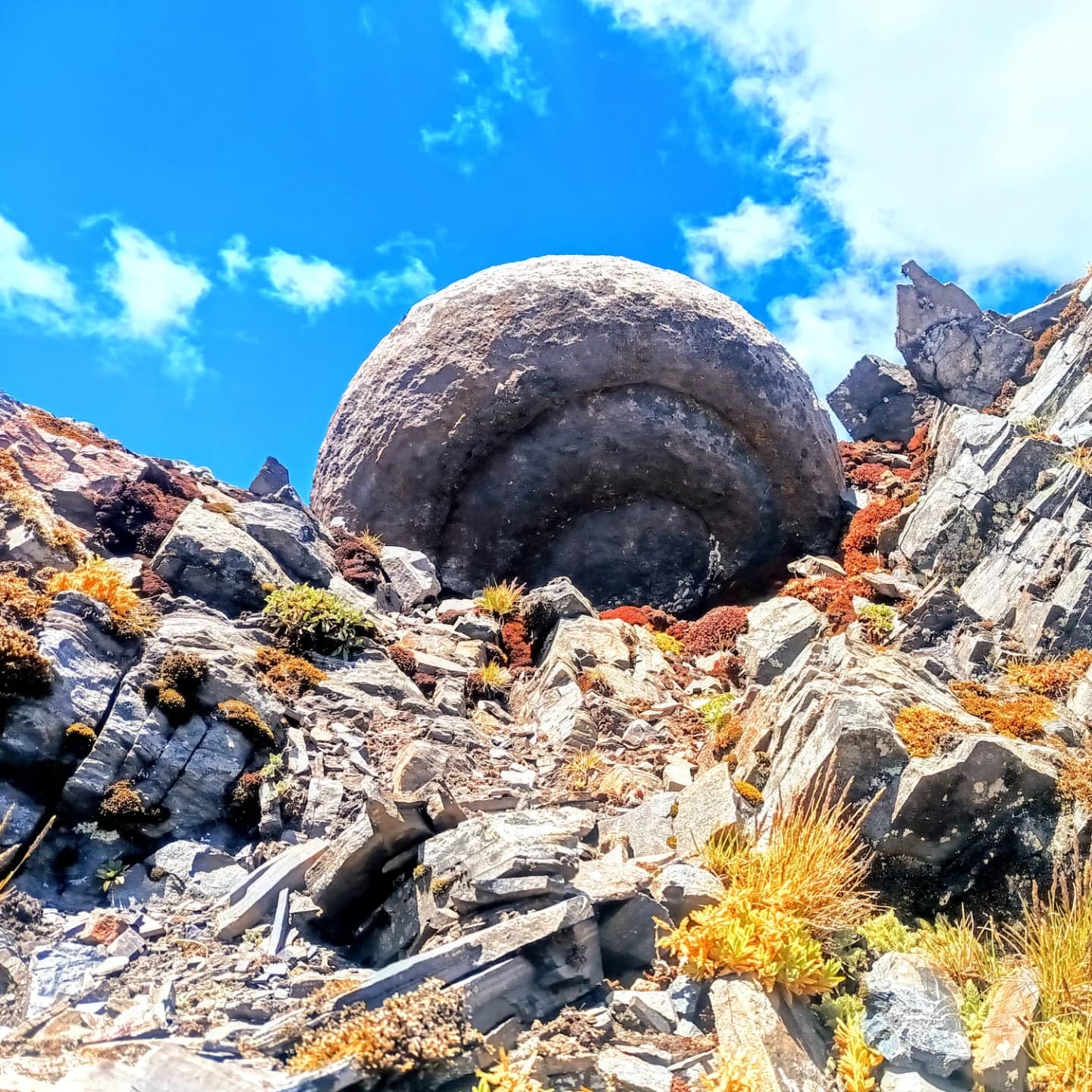 Formación rocosa en espiral similar a una caracola, entre rocas y vegetación paramuna.